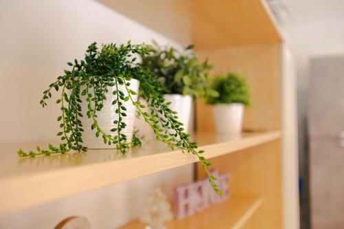  Giberti Apartment - Royal Welcome in Verona