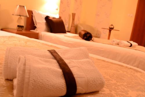 Hotel Pine, Skopje (photo 10)