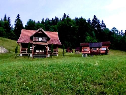 Mountain Cabin Panorama - Ghimeş-Făget