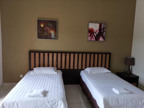 Gold Coast Morib Rerost By Sweetime Gold Coast Morib Rerost By Sweetime