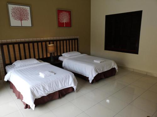 Gold Coast Morib Rerost By Sweetime Gold Coast Morib Rerost By Sweetime