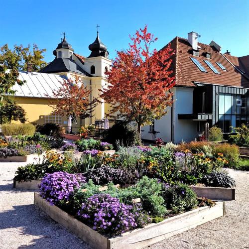 Apartmány Monastery Suites Žireč - Apartment - Dvůr Králové nad Labem