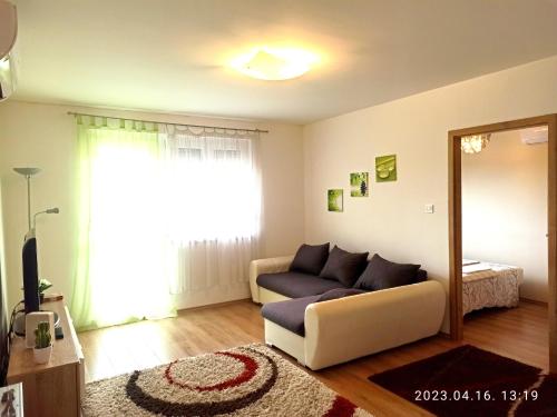 Nagyerdő - Simonyi út, Debrecen (photo 5)