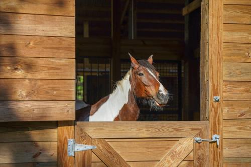 Farm Stay Modern Barndominium in Lakeland!