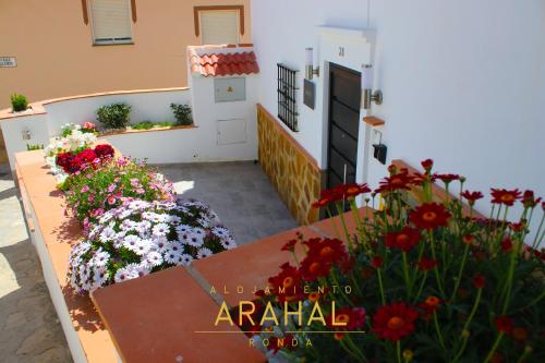 ALOJAMIENTO ARAHAL - RONDA, Ronda (photo 9)