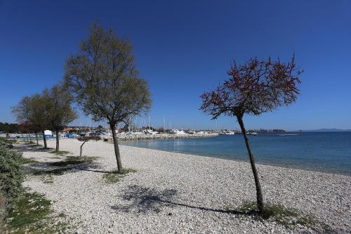 Hotel Niko - image 14