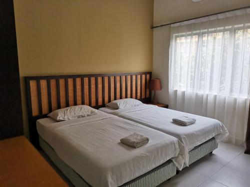 Gold Coast Morib Rerost By Sweetime Gold Coast Morib Rerost By Sweetime