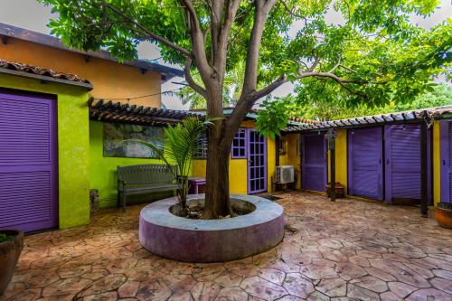 Best Price on Villa Aloe in Noord + Reviews!