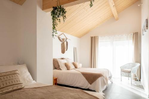 Ted Surf House in แคปบริตง