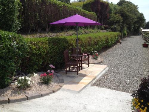 Channel View Bed & Breakfast - image 3