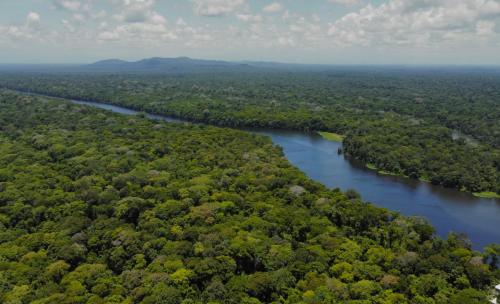 Hotel El Icaco Tortuguero