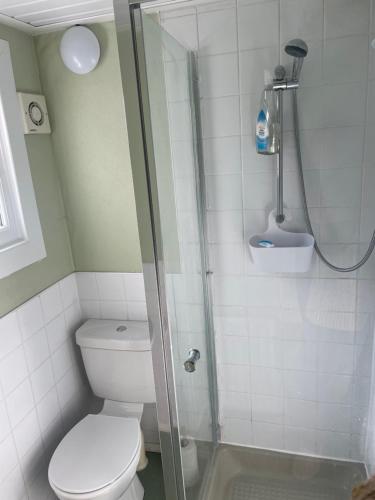 The Ivydene Hotel - image 4