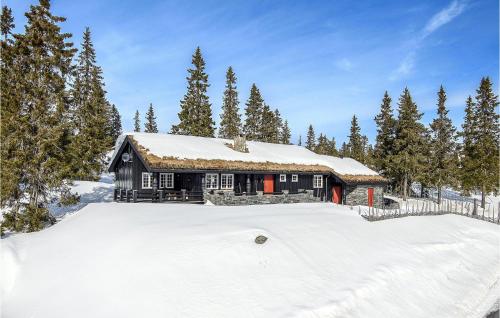 Beautiful Home In Sjusjen With Kitchen