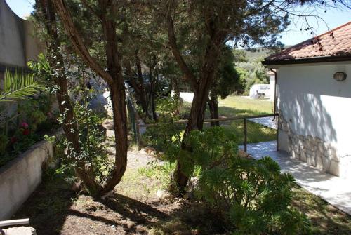  Villa Ludi in Maladroxia