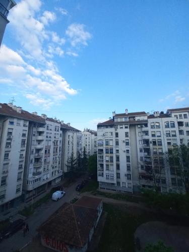 Sancho Leone in ชุการิกา