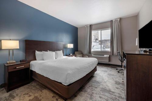 1 king bed