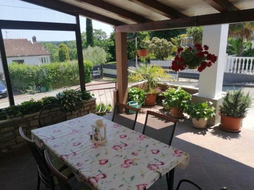 Apartments with parking space Dajla, Novigrad - 6935 in Dajla