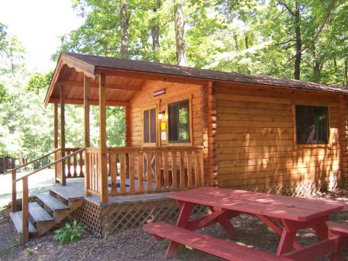 Shenandoah 1 Summer Camp in the Laurel Highlands - Champion