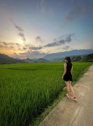 Nha Nghi Hong Nhung