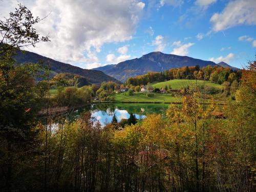 Haus Edelweiß - image 10
