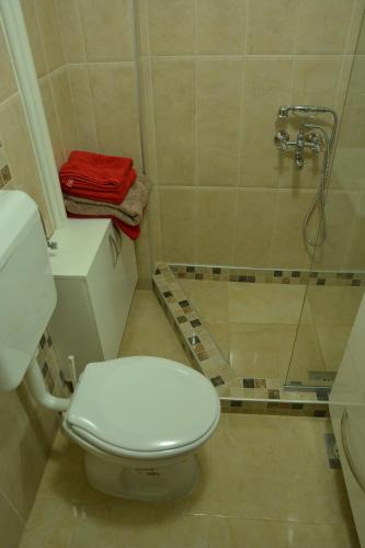 Apartment Kapishtec, Skopje (fotografie 9)