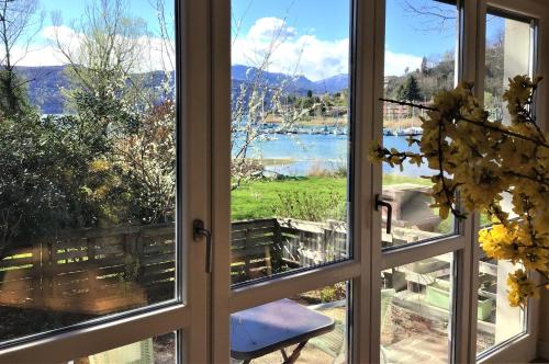 RESIDENZA 3 MAGNOLIE in Monvalle