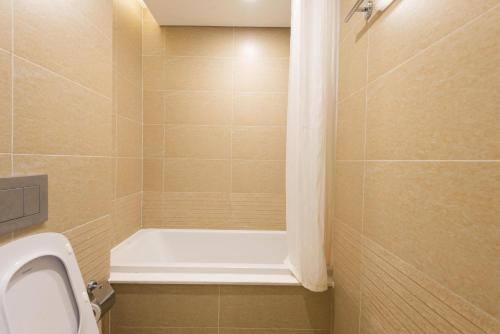 One-Bedroom Apartment image 2