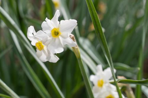 波佐菲欧丽托农庄酒店
