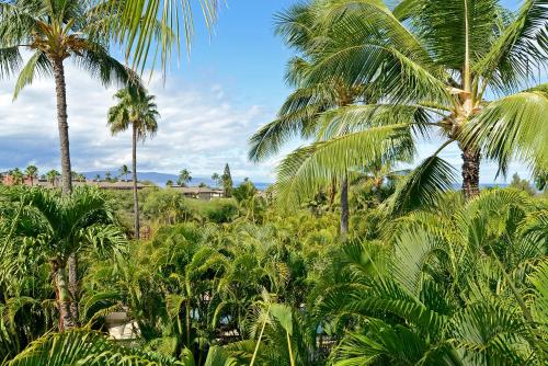Maui Banyan T-305 - Ocean View Beach Condo for 10 - image 14