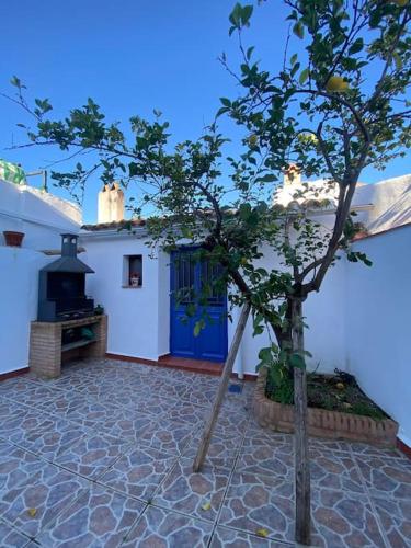 . Casa Rosalía