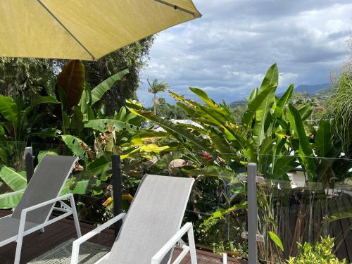 Piscina, Nolan garden house in whitfield in El Gran Cairns