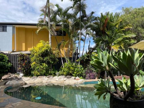 Piscina, Nolan garden house in whitfield in El Gran Cairns