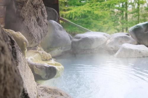 Open air bath, FOURTREAT plus NASUKOGEN in Nasu