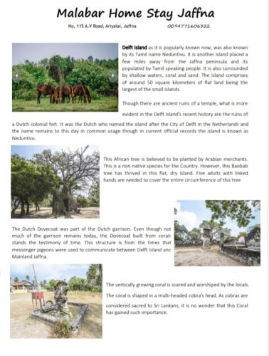 Malabar home stay photo