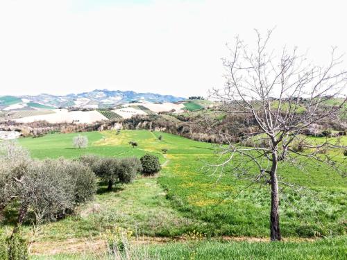 Affittacamere Locanda Ristoro Tanè