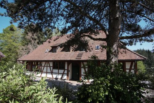 Hotelli välisilme, Hotel & Tagungszentrum Schloss Hohenfels in Hohenfels (Baden-Wurttemberg)
