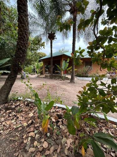 Complete House in the jungle, near the sea. in 卡豐廷