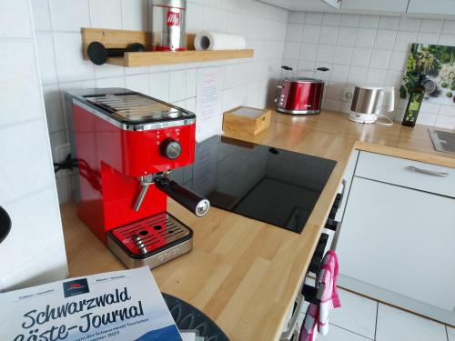 Ruhiges & zentrales Loft in Lörrach, Lörrach (foto 10)