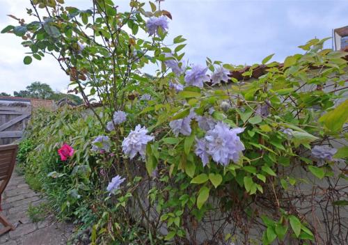 Clematis Cottage