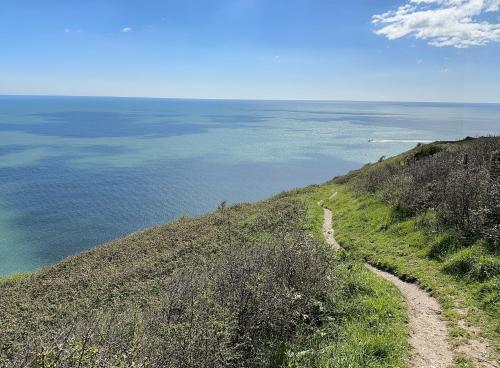 Beautiful, spacious 3 bed Brixham apartment Beautiful, spacious 3 bed Brixham apartment