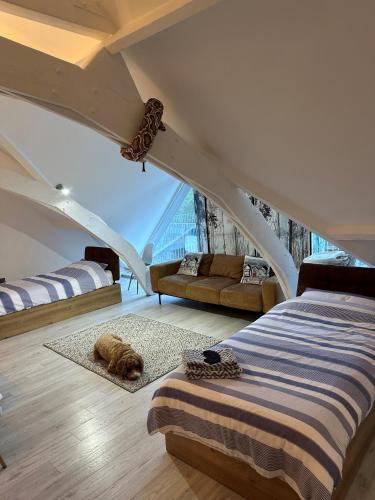 Beautiful, spacious 3 bed Brixham apartment Beautiful, spacious 3 bed Brixham apartment