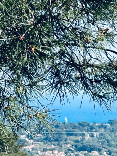 MAISON indépendante VUE MER au cœur de la NATURE - Location saisonnière - Toulon