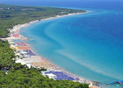  Grazioso appartamento terrazzo e wi-fi near Otranto in Casamassella
