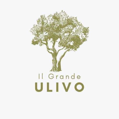  Il Grande Ulivo in Selva di Fasano