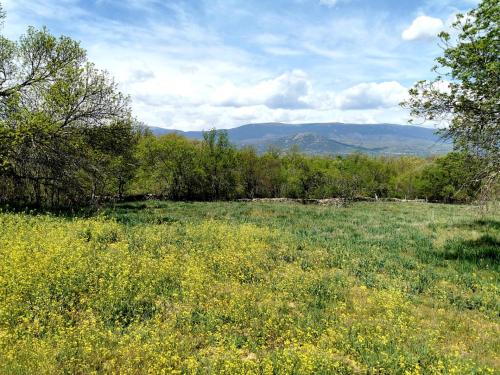 Acogedora y romántica casita en la sierra