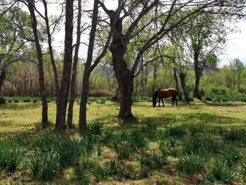 Acogedora y romántica casita en la sierra