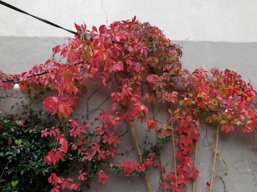 Duplex dans village avec jardin