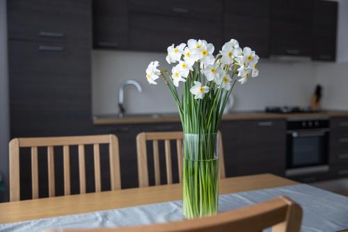 Kitchen, Apartman Ena in Bjelovar