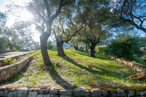 Villa Spyros - image 2