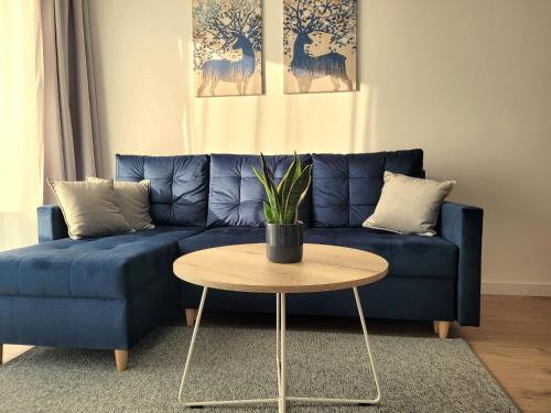 Apartament Korczaka 6